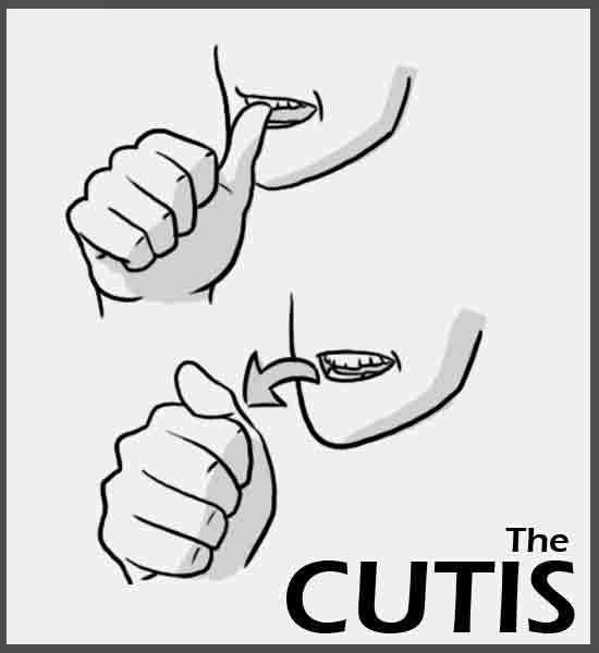 The Cutis - India and Pakistan