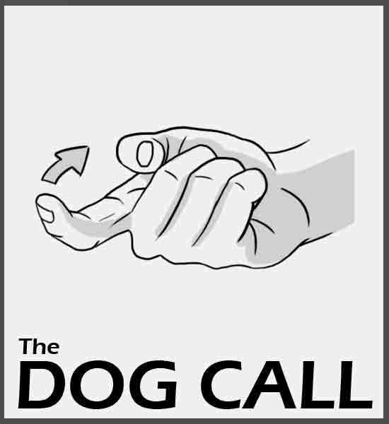 The Dog Call - Indonesia