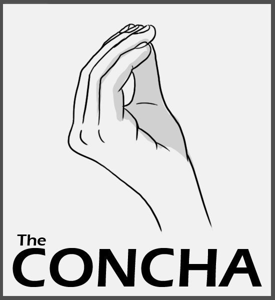 The Concha - Chile