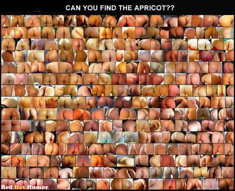 Can You Find The Apricot?